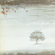 Wind & Wuthering (1976)