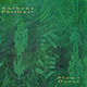 Anthony Phillips - Slow Dance - 2CD/DVD Rezension