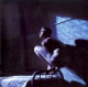 Peter Gabriel - Birdy - CD Rezension 