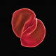 Peter Gabriel - Scratch My Back - CD Rezension