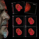 Verlosung: 5 x Peter Gabriels 