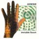Genesis - Invisible Touch 2007 - SACD + DVD Infos und Rezension