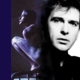 Peter Gabriel - Recording Compendium, Teil 5: 1983 - 1988 (Birdy / So)