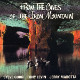 Tony Levin - From The Caves Of The Iron Mountain (feat. Jerry Marotta und Steve Gorn) - Album Rezension