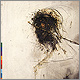 Peter Gabriel - Passion: The Last Temptation Of Christ - CD Rezension