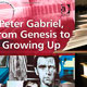 Peter Gabriel - Drewett et al. (Hrsg.): Peter Gabriel, From Genesis To Growing Up - Buchkritik