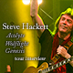 Steve Hackett - Acolyte, Wolflight, Genesis: Das Tour Interview (14.08.2015)