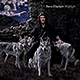 Steve Hackett - Wolflight - Album Info & Rezension