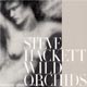 Steve Hackett - Wild Orchids - CD Rezension 