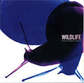 Anthony Phillips - Wildlife (CD)