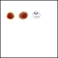 Peter Gabriel - Flume<br>
Bon Iver - Come Talk To Me