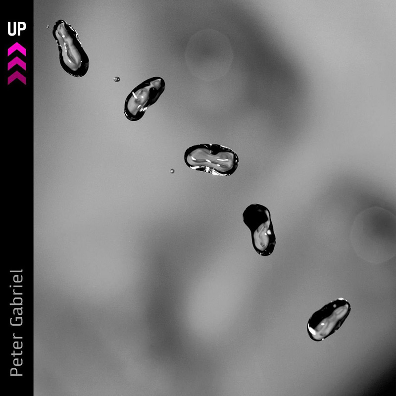 UP Cover