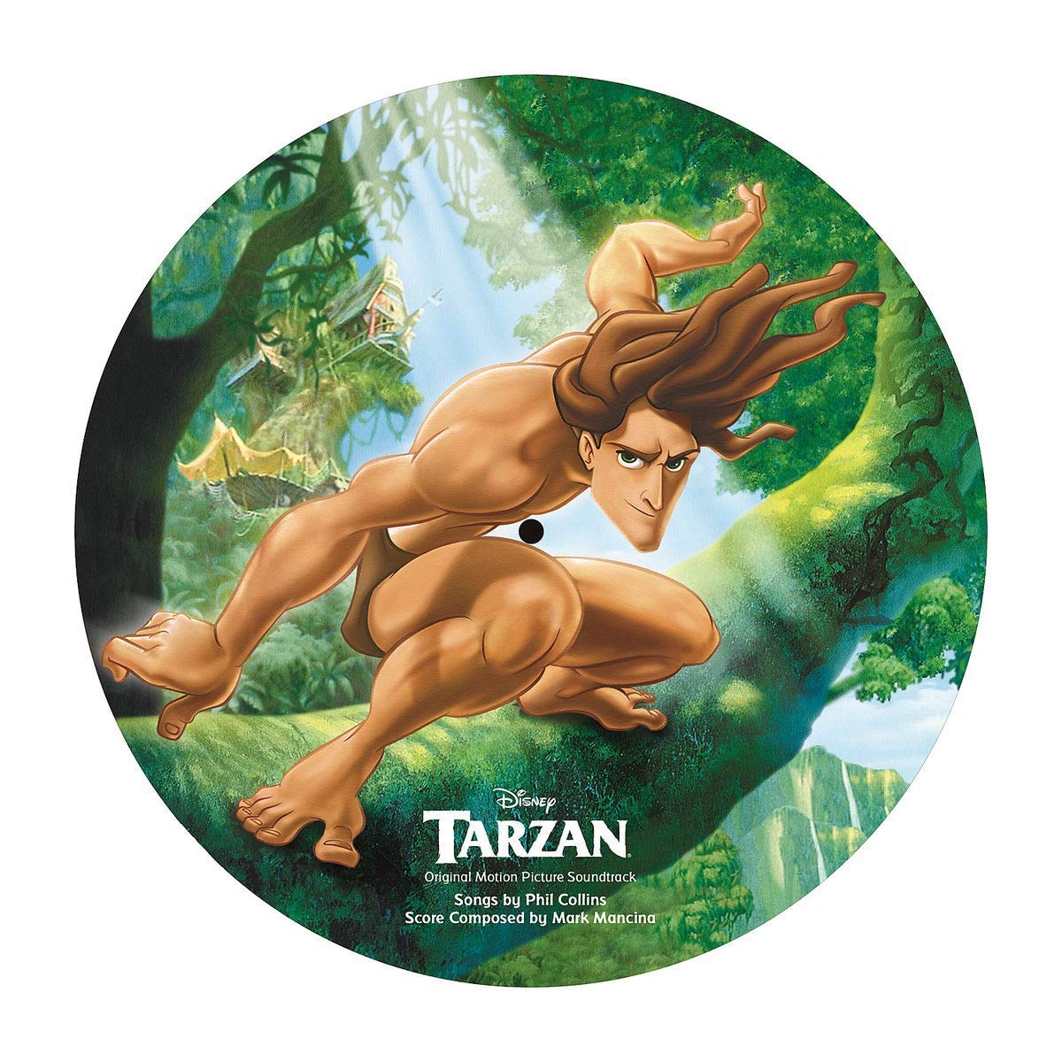 Tarzan Picture LP