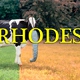 David Rhodes - Rhodes - CD Rezension