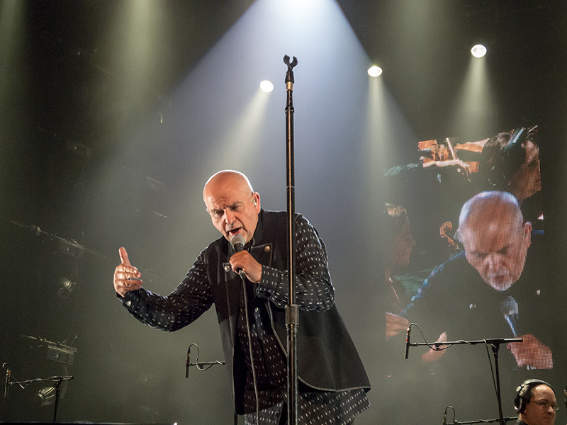 Peter Gabriel live