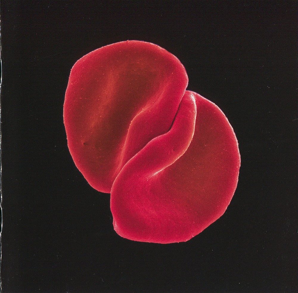 New Blood - PeterGabrielcom