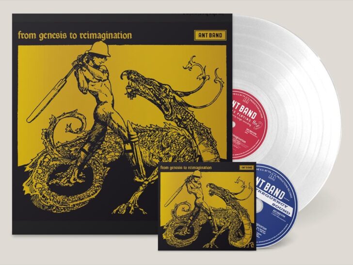 The Ant Band - das Album auf CD und Vinyl