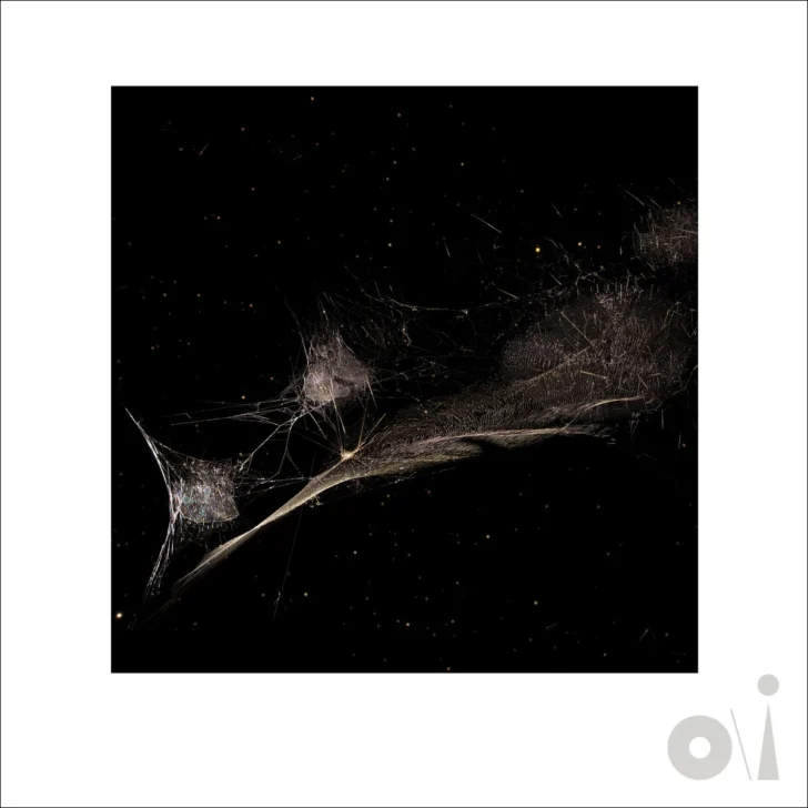 Cover for "Put The Bucket Down"